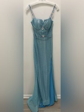Portia and Scarlett Aqua Mesh Maxi Skirt with Heart Accents